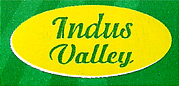 indusvalley.jpg (12558 bytes)
